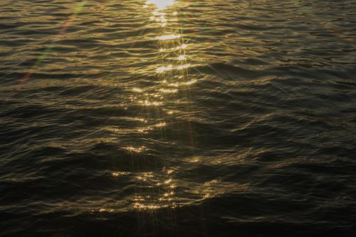 Free Serene scene of golden sunlight reflecting on rippling water at sunset, creating a peaceful and dreamy atmosphere. Stock Photo