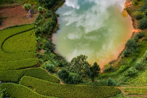 Free Aerial landscape of vibrant green rice fields and a serene pond reflecting clouds. Stock Photo