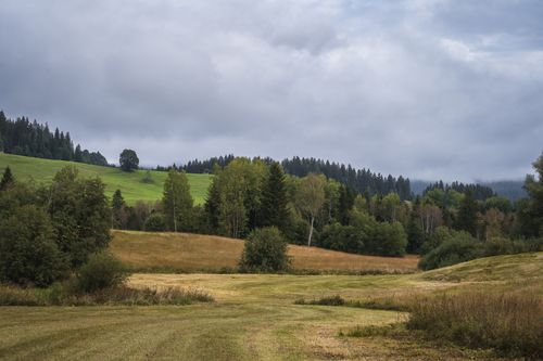 Free Peaceful view of rolling hills, meadow, and forest under a cloudy sky. Stock Photo