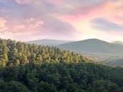 粉红色的天空下，山坡上郁郁葱葱的森林，捕捉到了大自然宁静的美丽