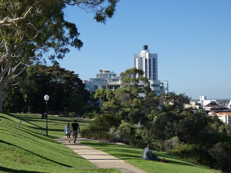 Enjoy a sunny walk in Kings Park, Perth with city skyline and nature views.
