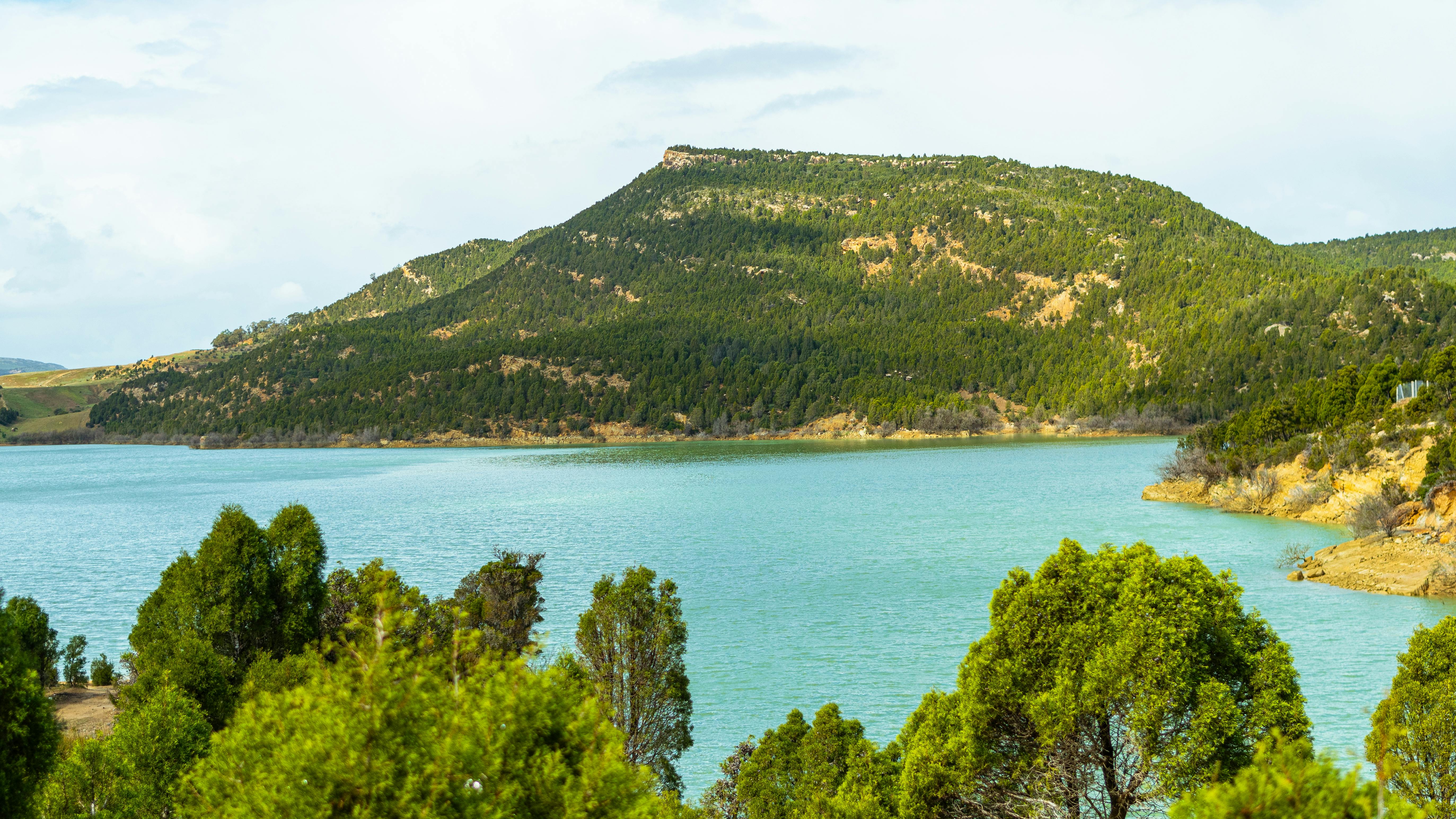 scenic view of lake and forest in bou argoub tunisia