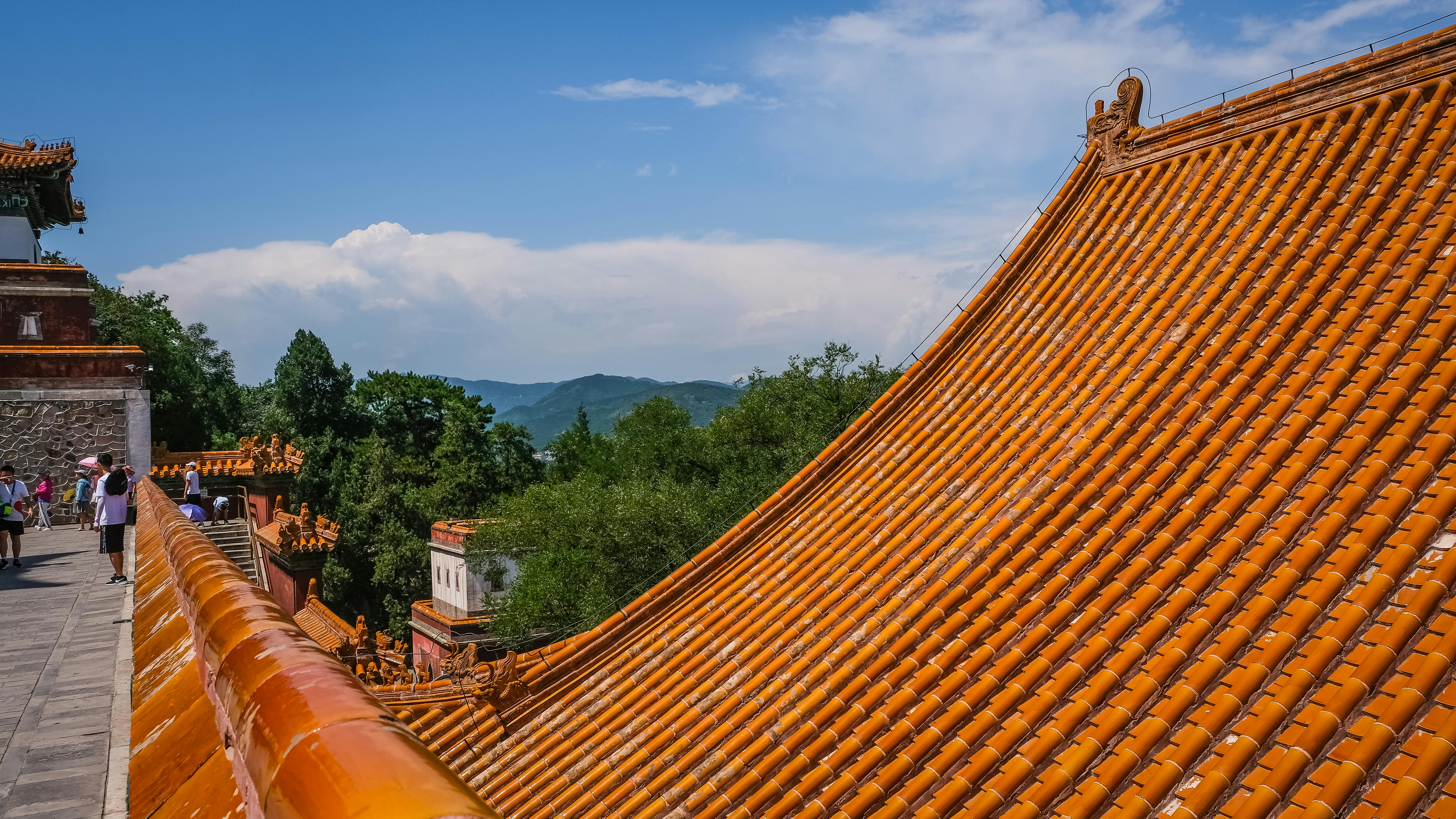 Orange Roof  Free Stock Photo