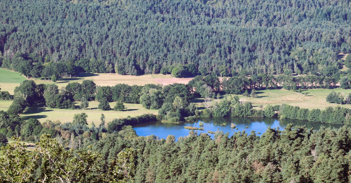 Preserfond : Guide complet du fonds de préservation