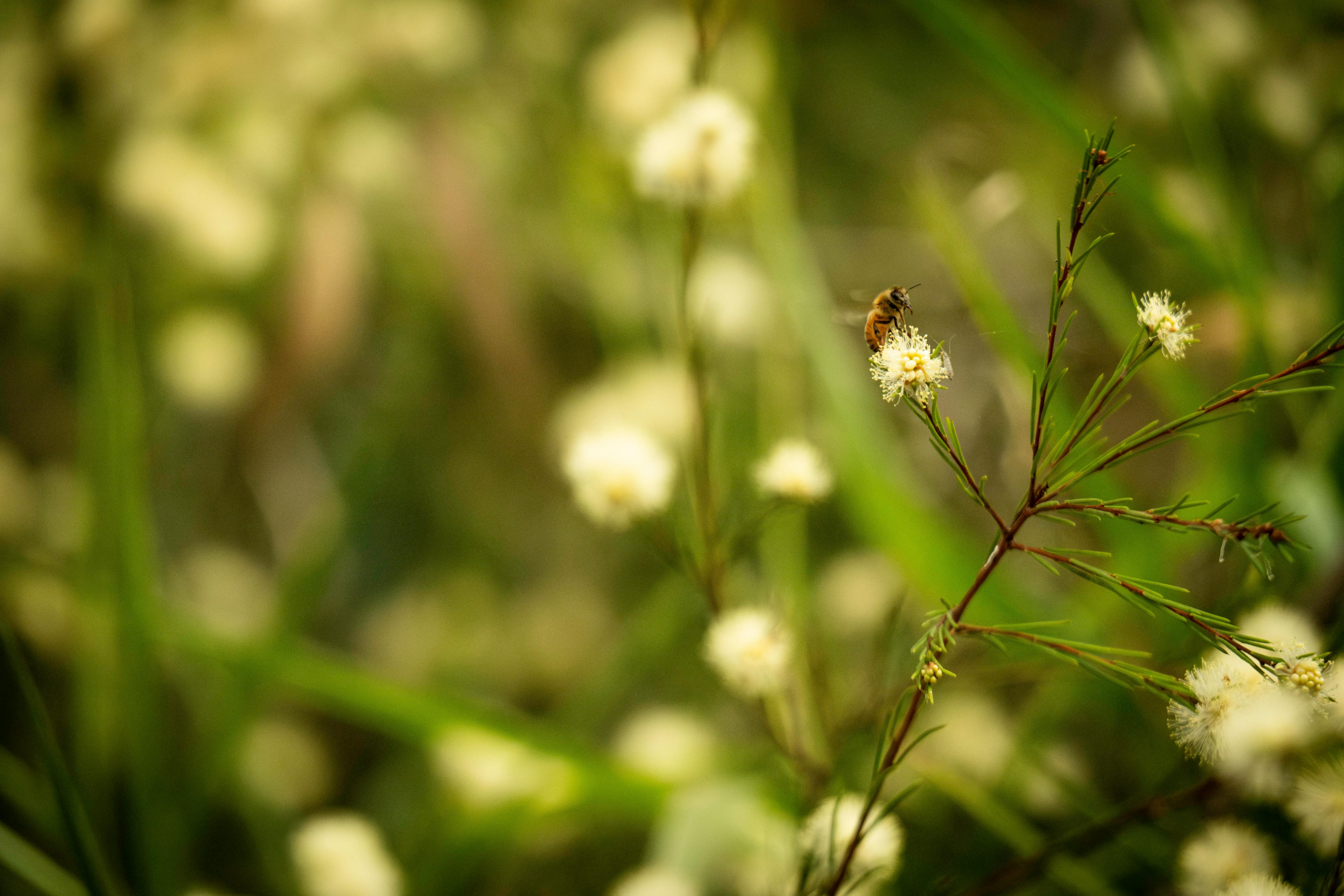 ## Challenges in Building Scalable APIs