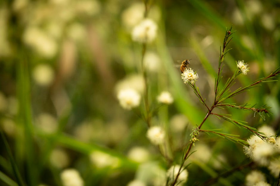 ## Challenges in Building Scalable APIs