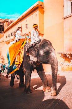 游客在印度斋浦尔标志性的琥珀堡享受大象之旅