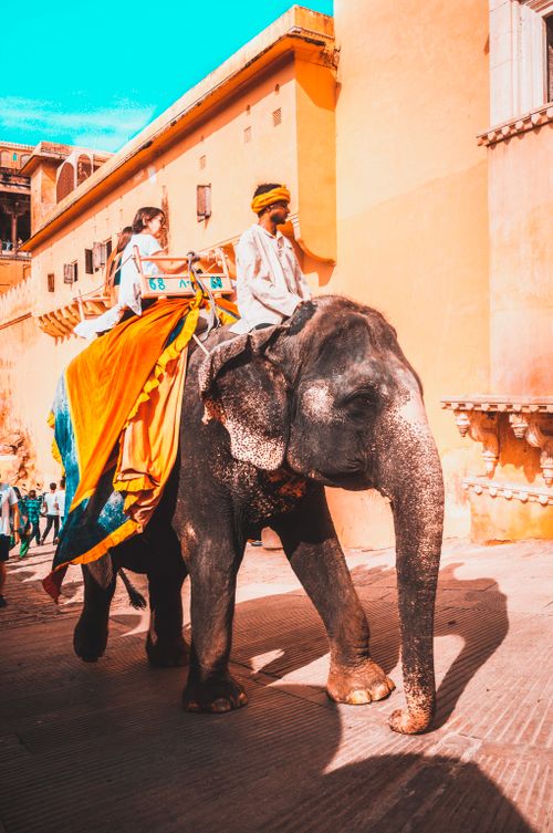 Free Tourists enjoying an elephant ride at the iconic Amber Fort in Jaipur, India. Stock Photo