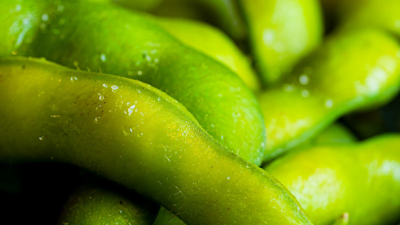 Vibrant green edamame beans in a bowl — photo by Nano Erdozain on Pexels Vibrant green edamame beans in a bowl