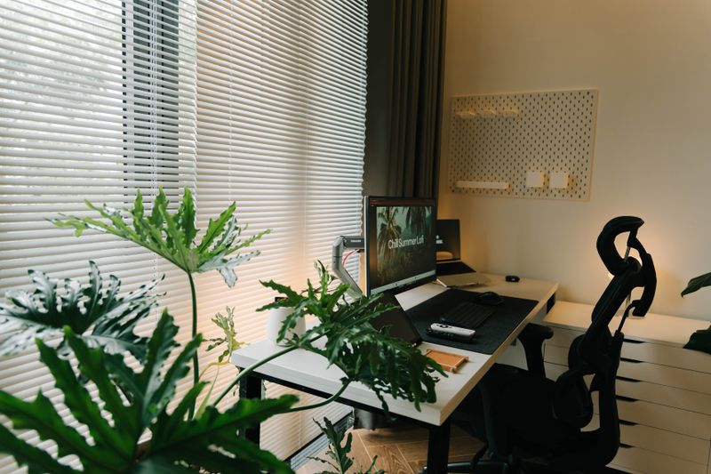 large leafy plant positioned behind a desk chair