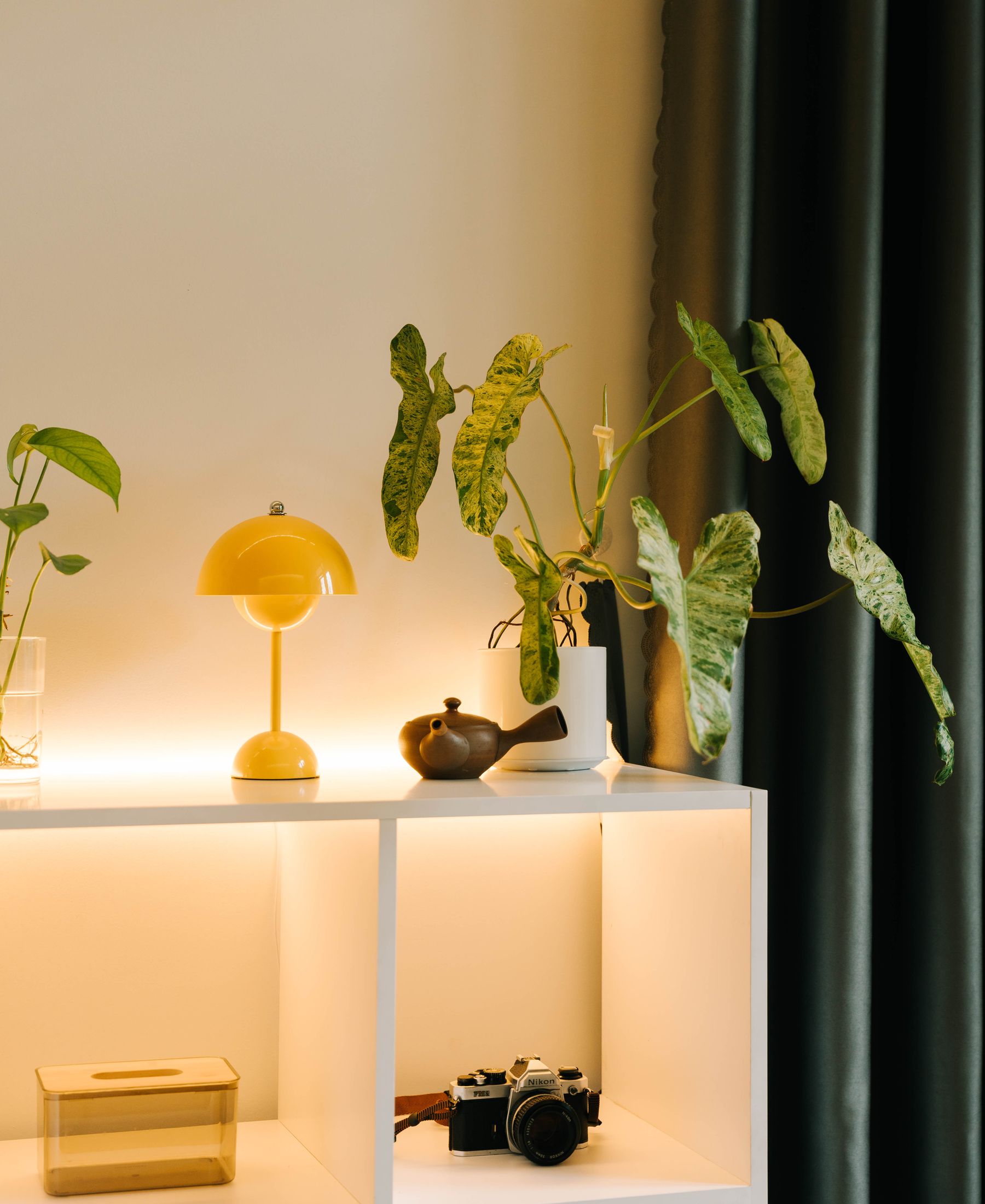 Modern interior shelf with plants and decor