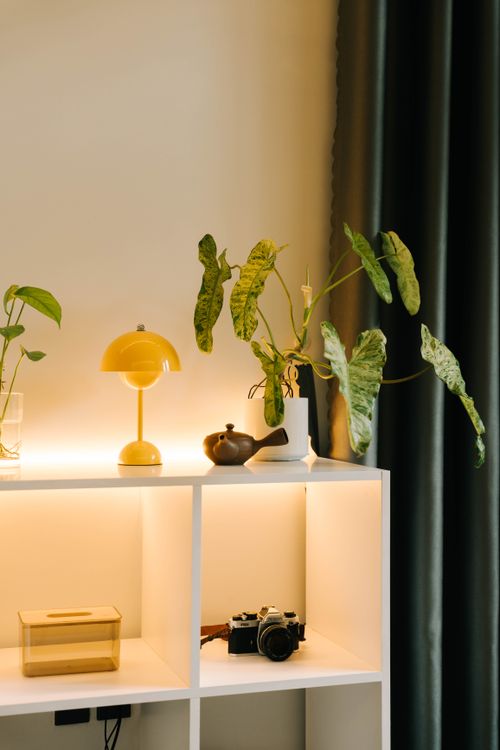 Free Stylish interior showcasing a shelf with plants, a camera, and a vintage lamp. Stock Photo