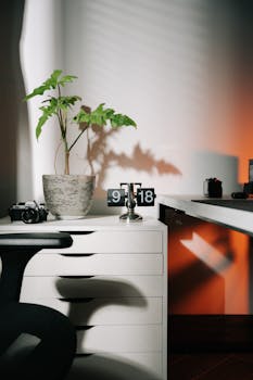 Minimalist office desk featuring a potted plant, flip clock, and camera in natural light.