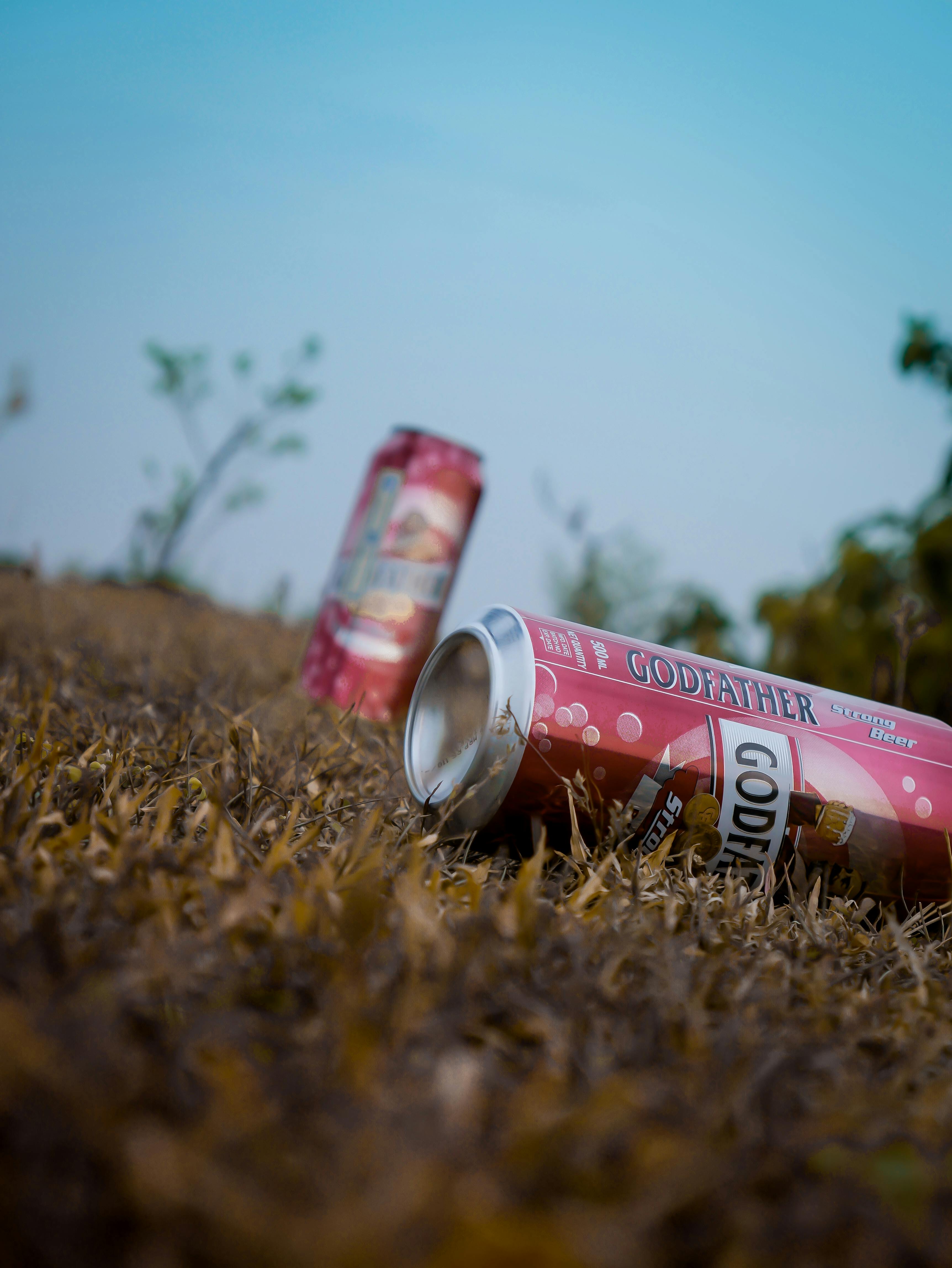 Energia Sustentável