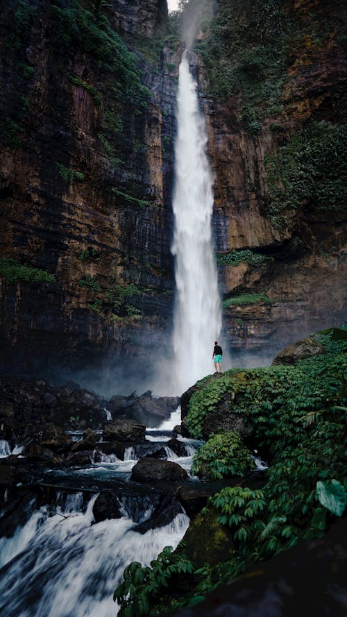 Full body of anonymous hiker standing on boulder covered with green plants and enjoying picturesque view of waterfall falling from mountain on stones