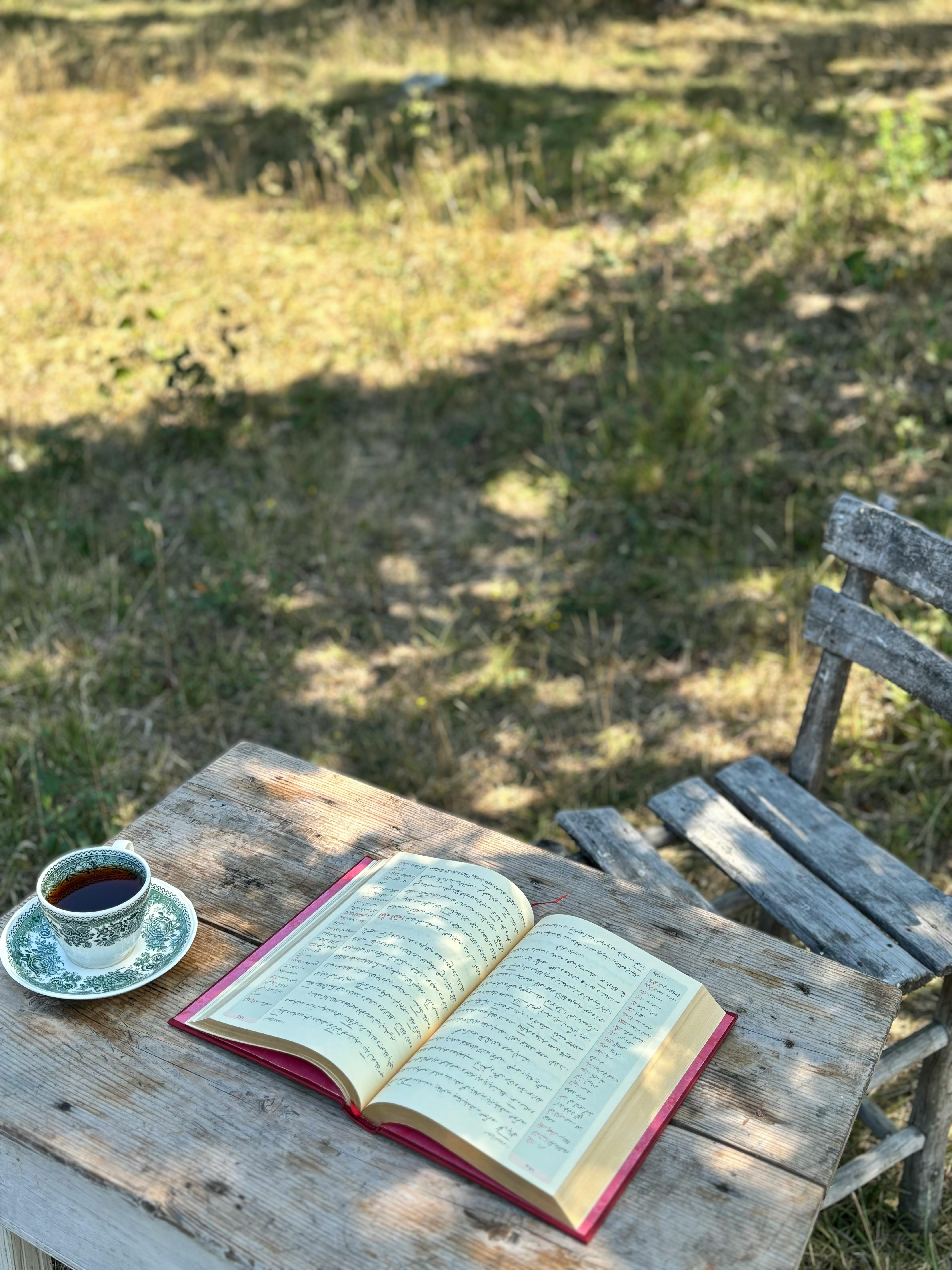 Serene Outdoor Reading Spot with Coffee · Free Stock Photo