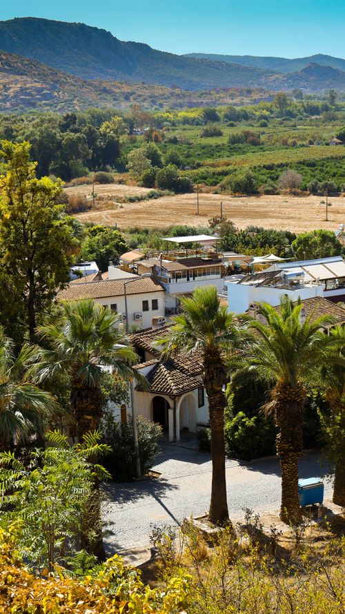 Free Picturesque rural landscape featuring lush greenery, palm trees, and rustic farmhouses under a blue sky. Stock Photo