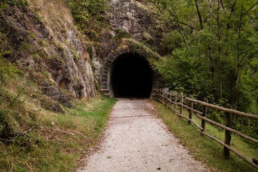 Discover the allure of a dark tunnel amidst a lush forest setting.