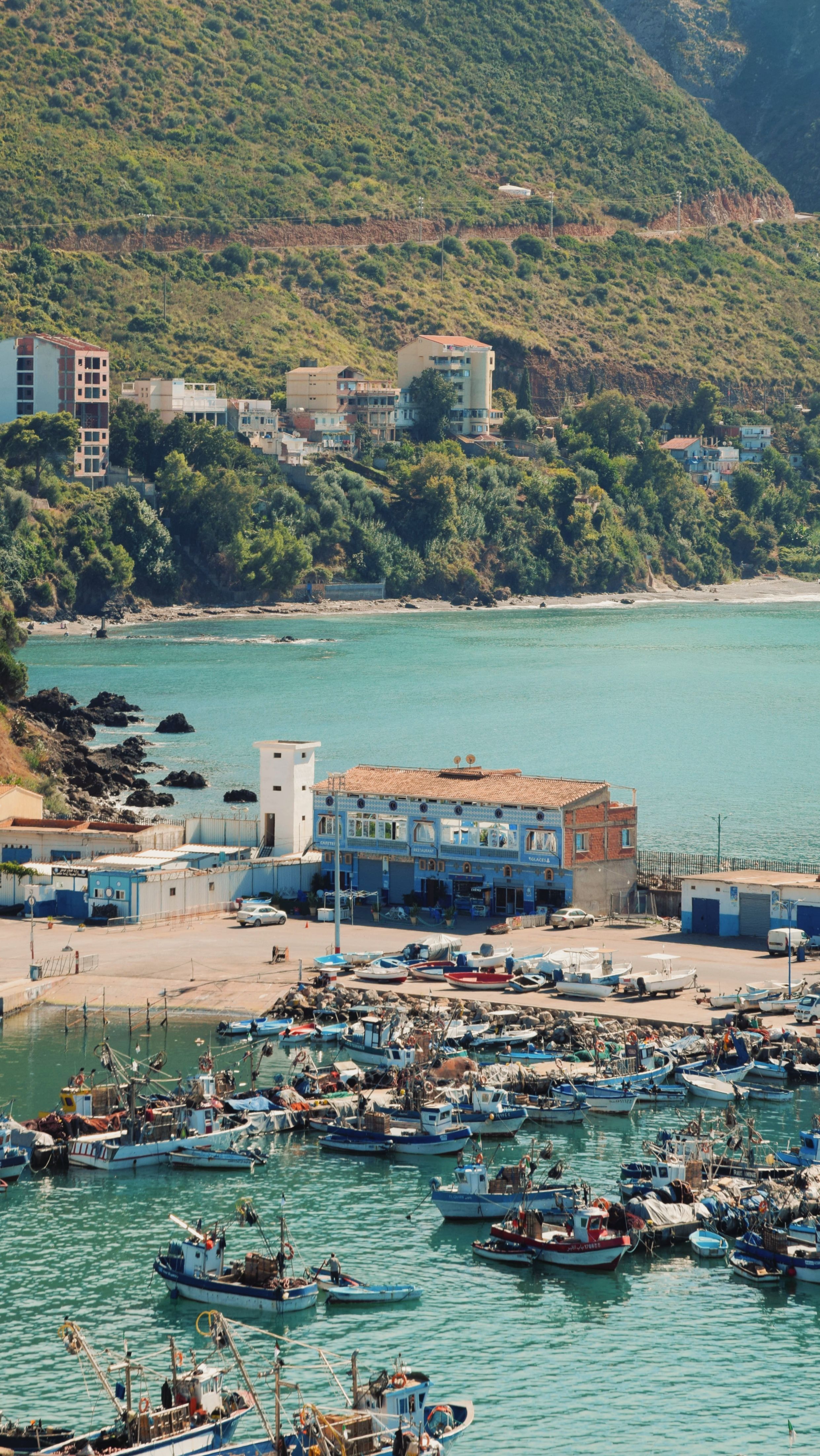 Picturesque coastal harbor with boats and hillside buildings, perfect for travel inspiration.