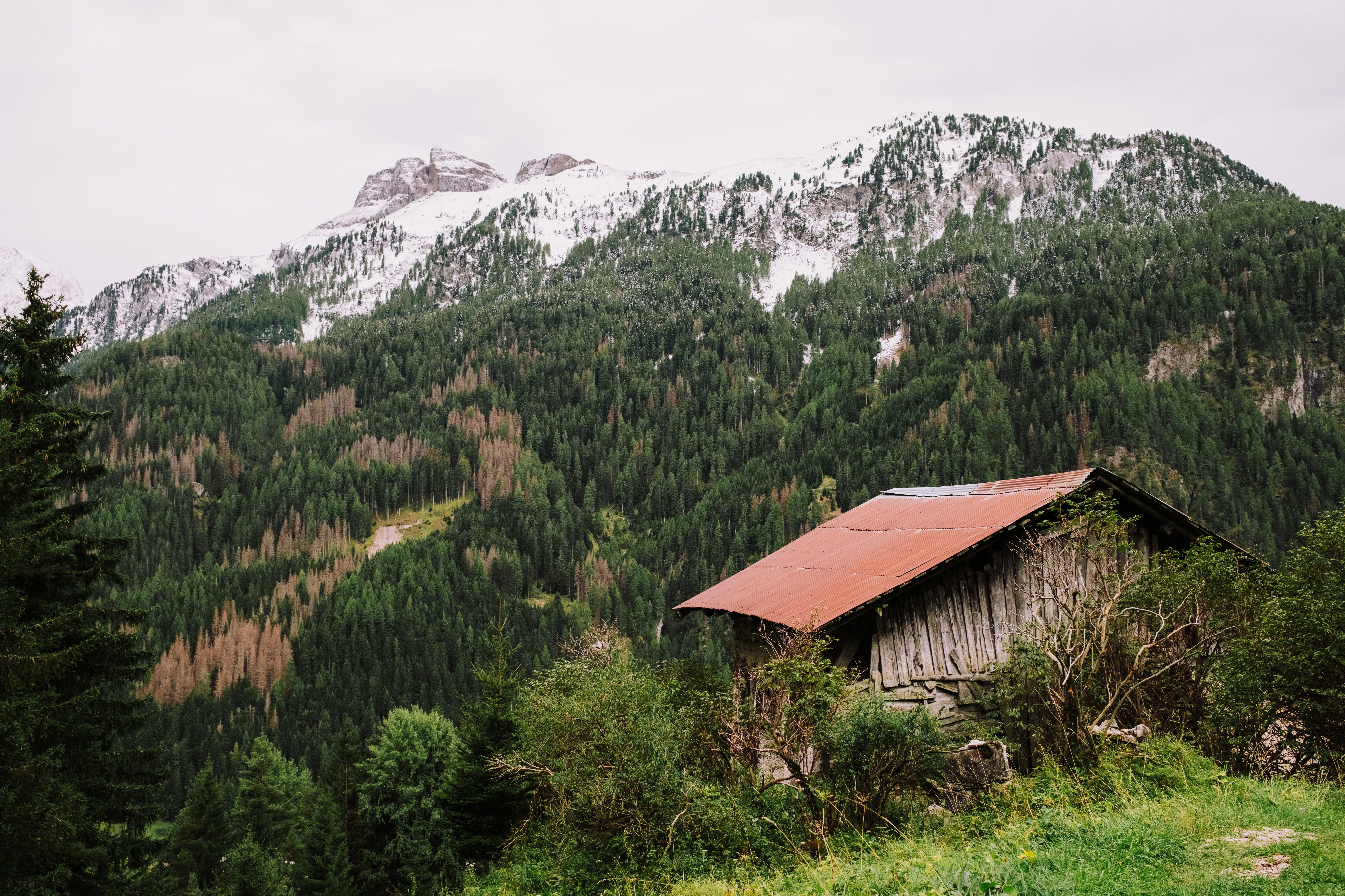 Cabane Rustique Avec Des Montagnes Alpines En Toile De Fond
