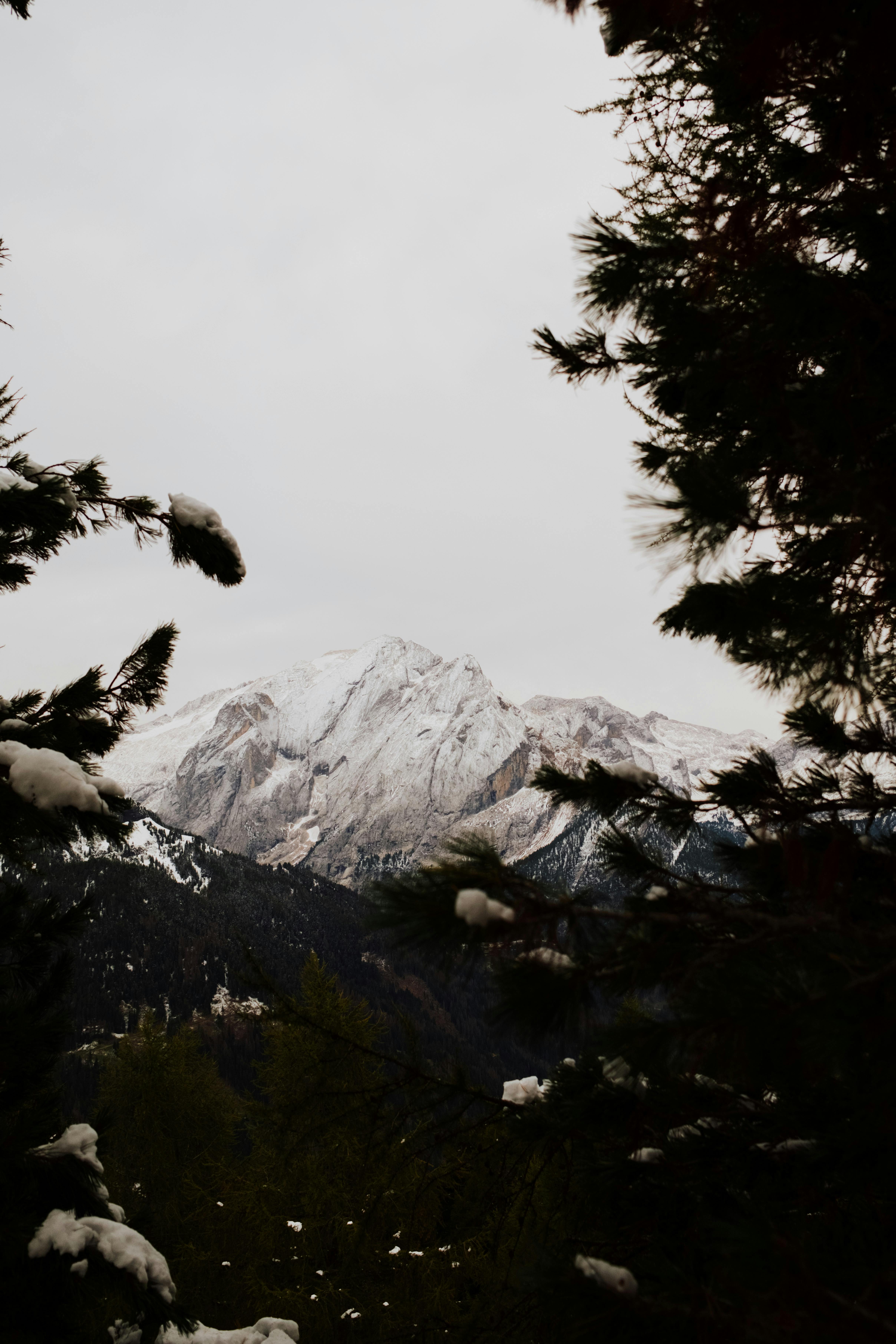 Prescription Goggle Inserts - Captivating view of a snow-capped peak in the Dolomites, framed by trees in Canazei.