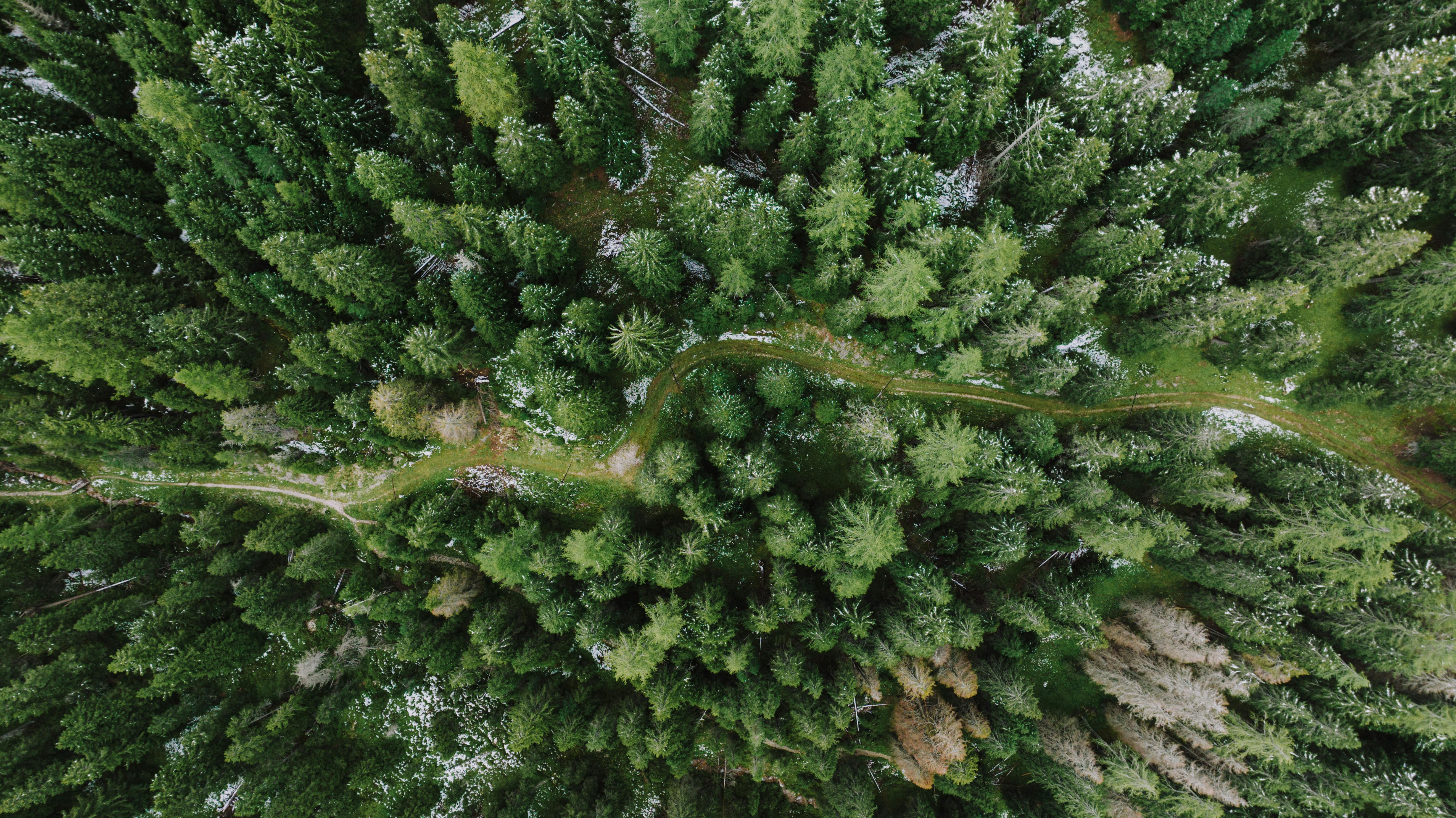 IT and Environmental, Social, and Corporate Governance (ESG), Part One: A CEO and Board Concern — Photo by K on Pexels