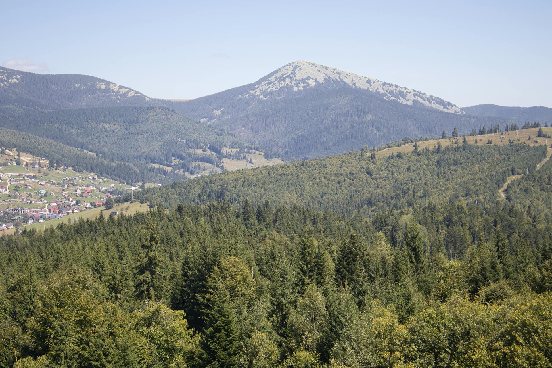 Scenic View of Carpathian Mountains