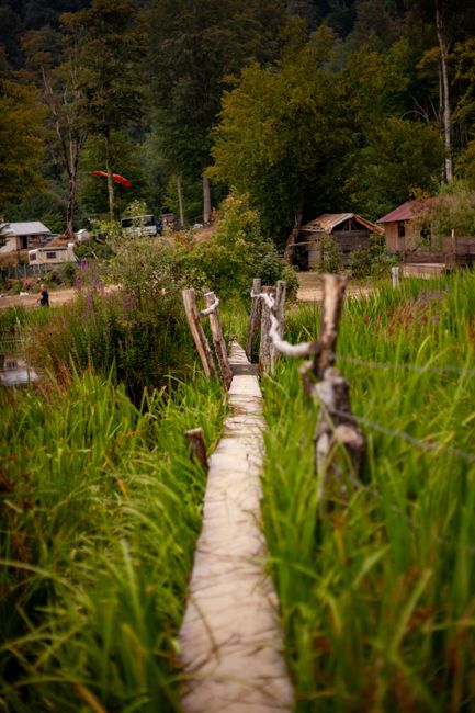 Charming rustic pathway through vibrant greenery in a serene rural setting, perfect for nature exploration.