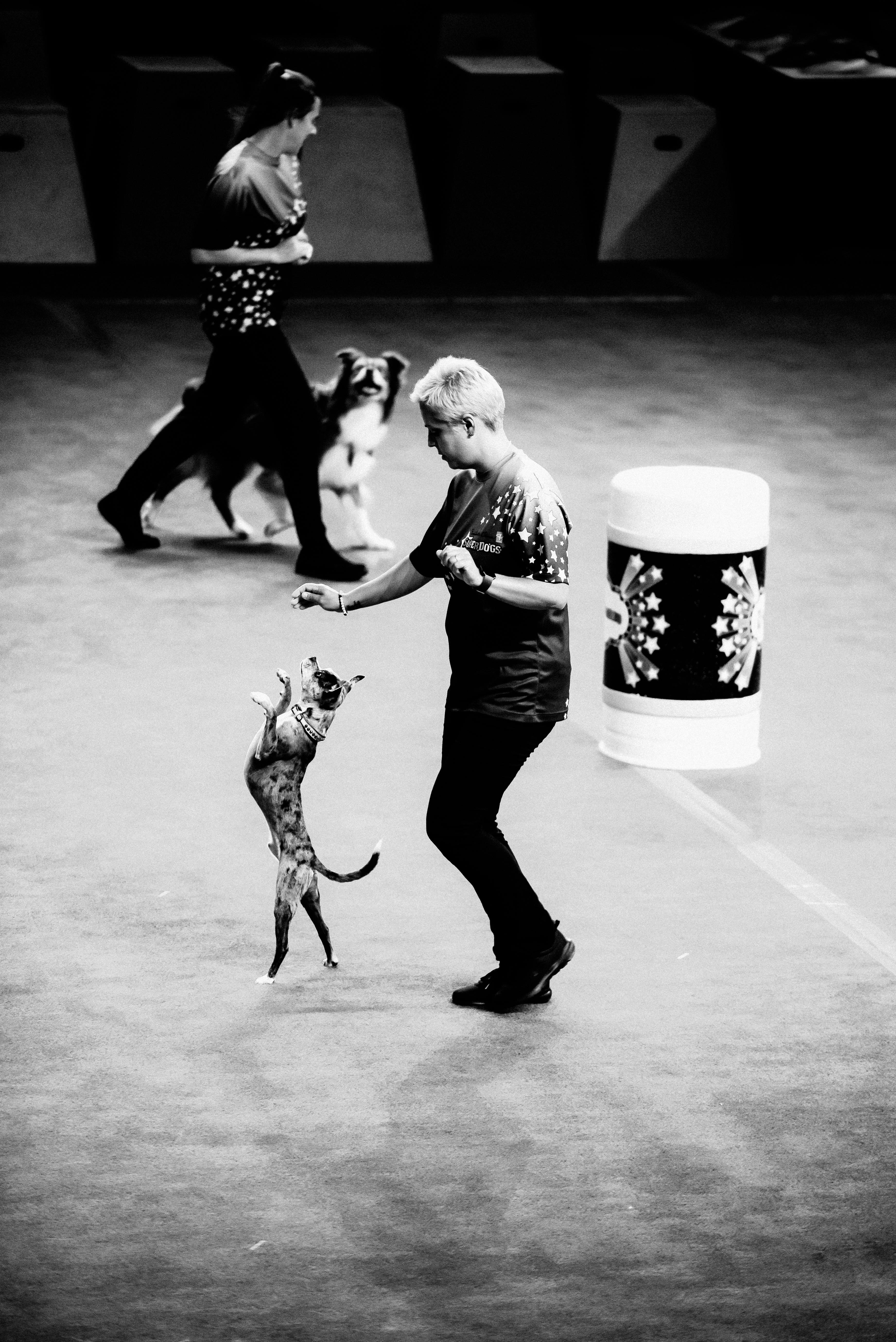Grayscale Photography of Women Performing With Trained Animals