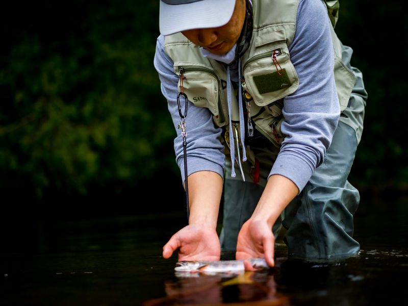 Angler releasing a trout into a clear mountain creek