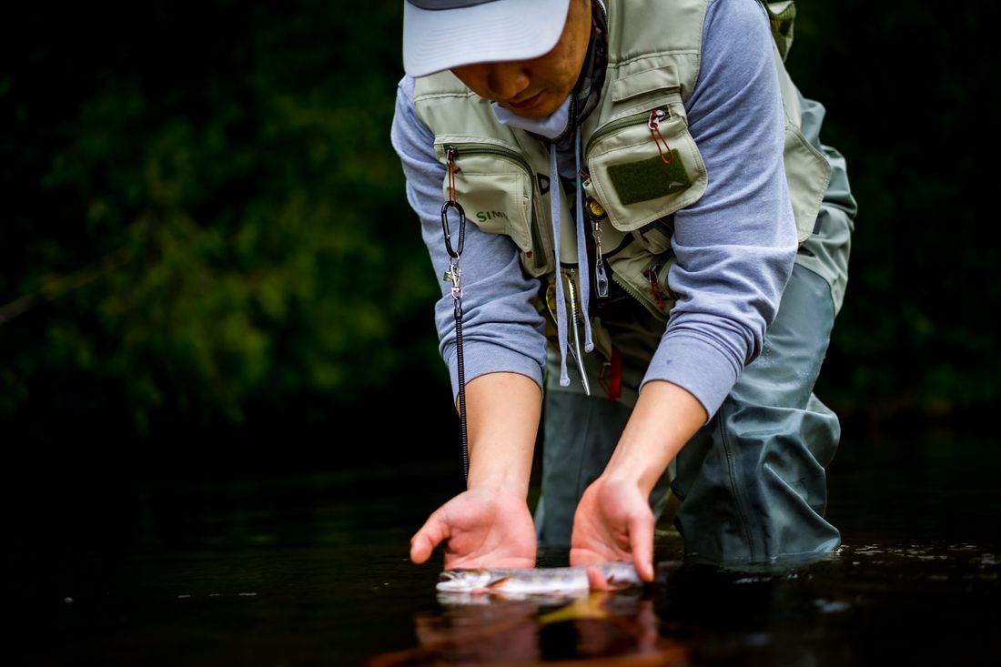 A fly angler in a wading vest gently releasing a trout back into a dark tailwater run