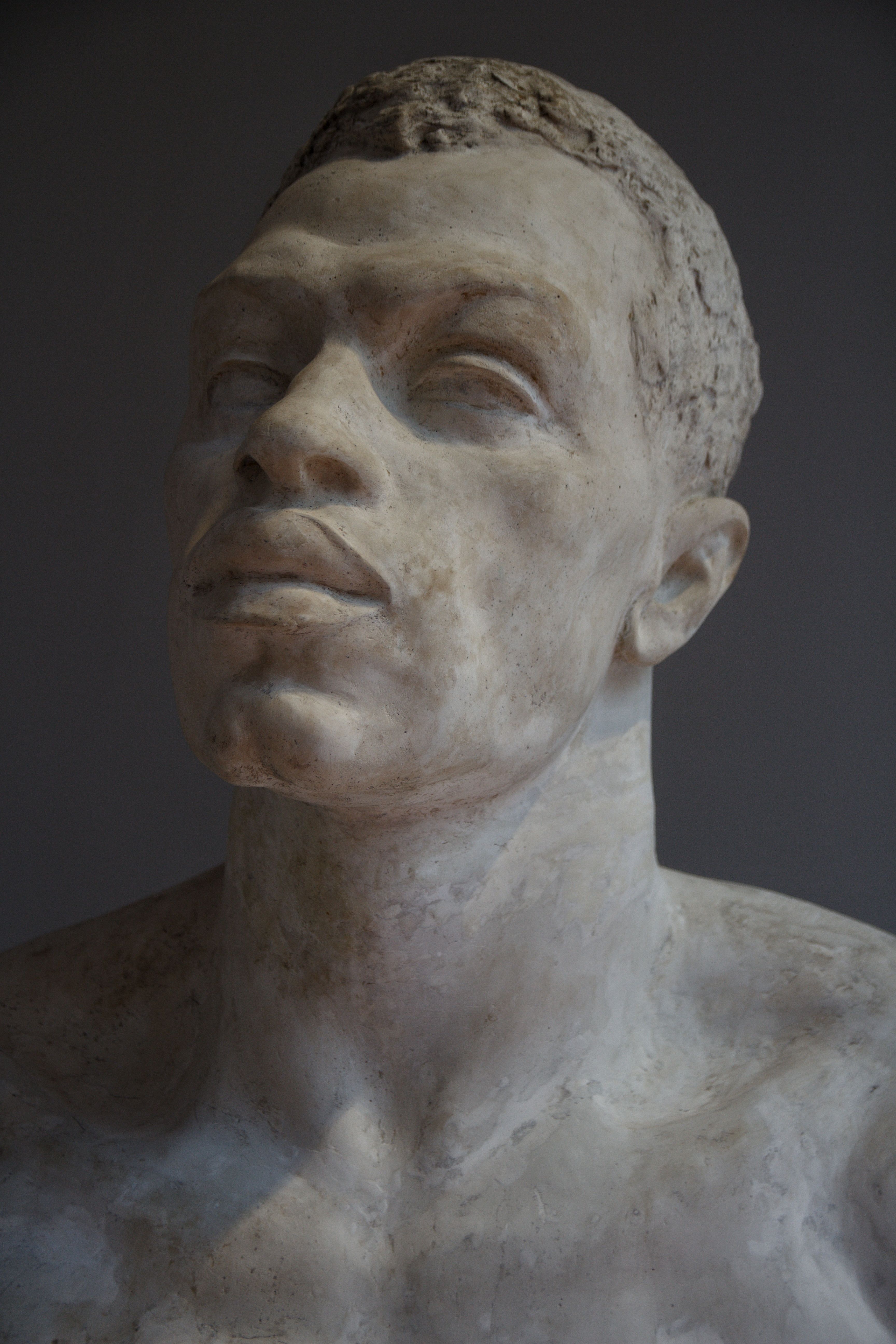 Detailed marble sculpture of a male head and torso, showcasing realistic artistic craftsmanship.
