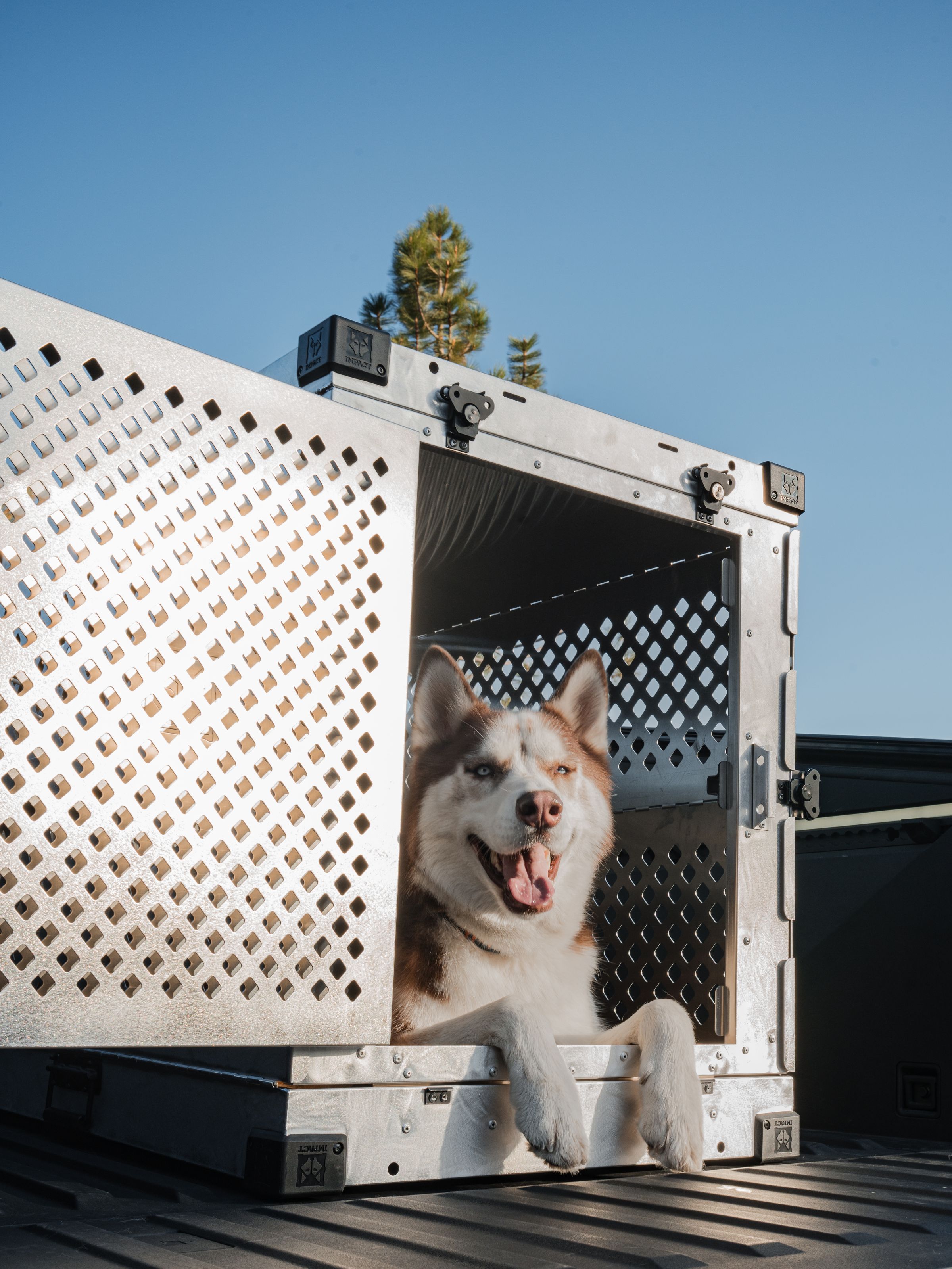 Siberian Husky sitting inside a durable metal wire dog crate outdoors