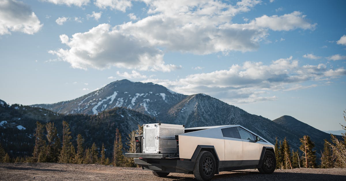 國際:特斯拉門把手問題引美國調查 新投訴案例持續攀升