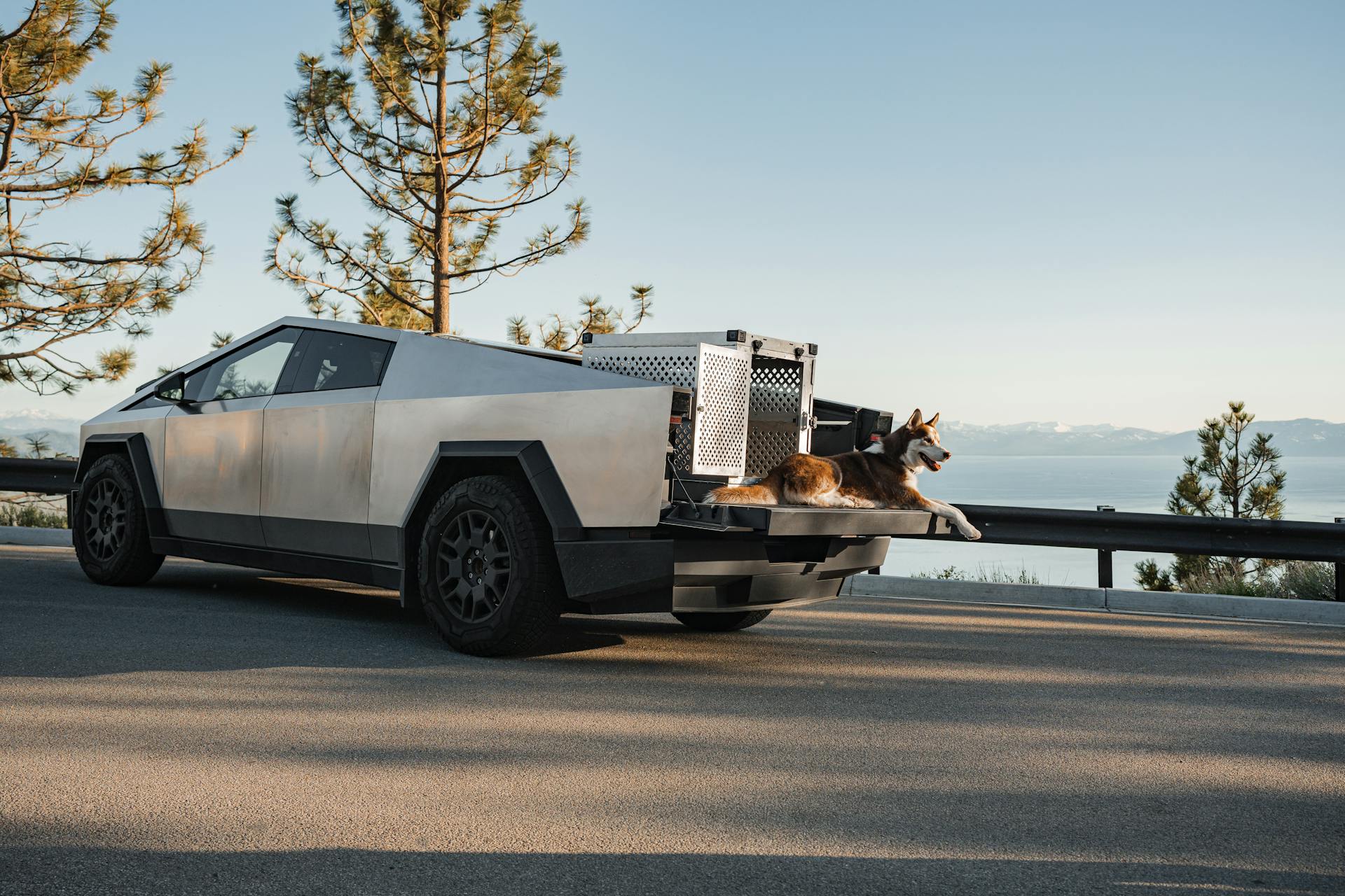 Elevate Your Siberian Husky’s Comfort with a Raw Aluminum Dog Crate and Tesla Cybertruck on Mountain Trips