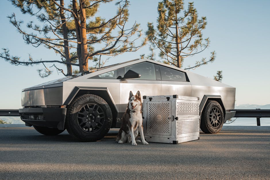 Tesla Cybertruck Owners Unveil Concerning New Roadway Trend: ‘It Has Escalated Quite a Bit’ Tesla Cybertruck Owners Unveil Concerning New Roadway Trend: ‘It Has Escalated Quite a Bit’