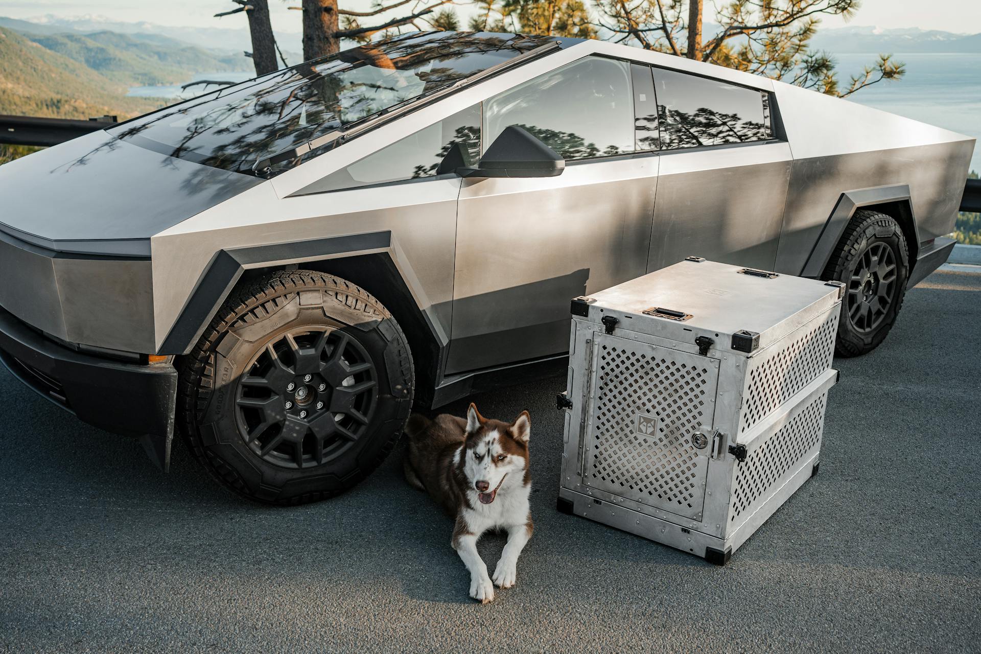 Futuristic Vehicle with Siberian Husky and Metal Crate