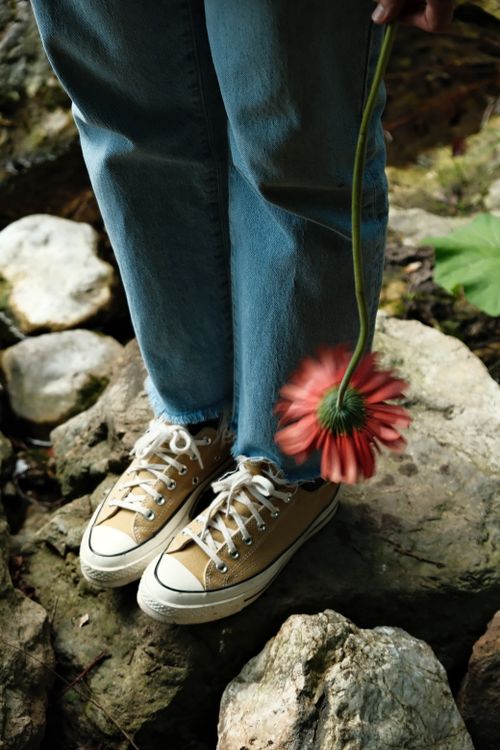Free Person in jeans and sneakers stands on stones, holding a red flower. Stock Photo