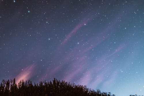 Free A clear night sky filled with stars and silhouetted trees in Vitebsk, Belarus. Stock Photo