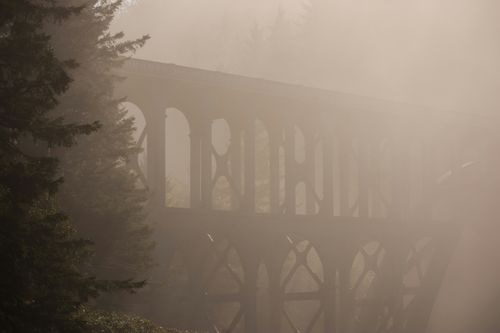 Free Hazy morning view of an old bridge in fog at Heceta Beach, Oregon, surrounded by pine trees. Stock Photo