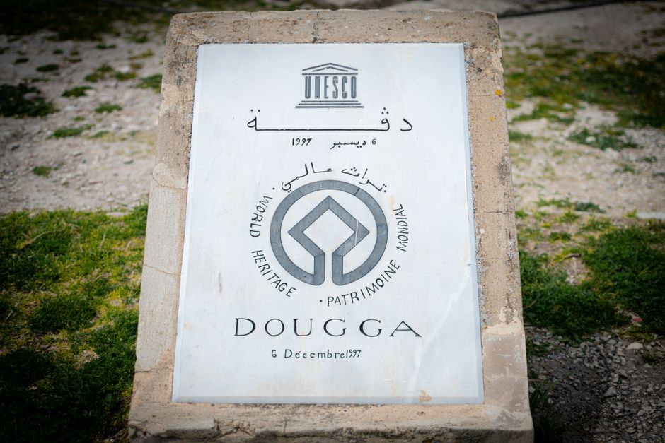 Wuyi Mountain Fujian — Understanding the UNESCO Designation