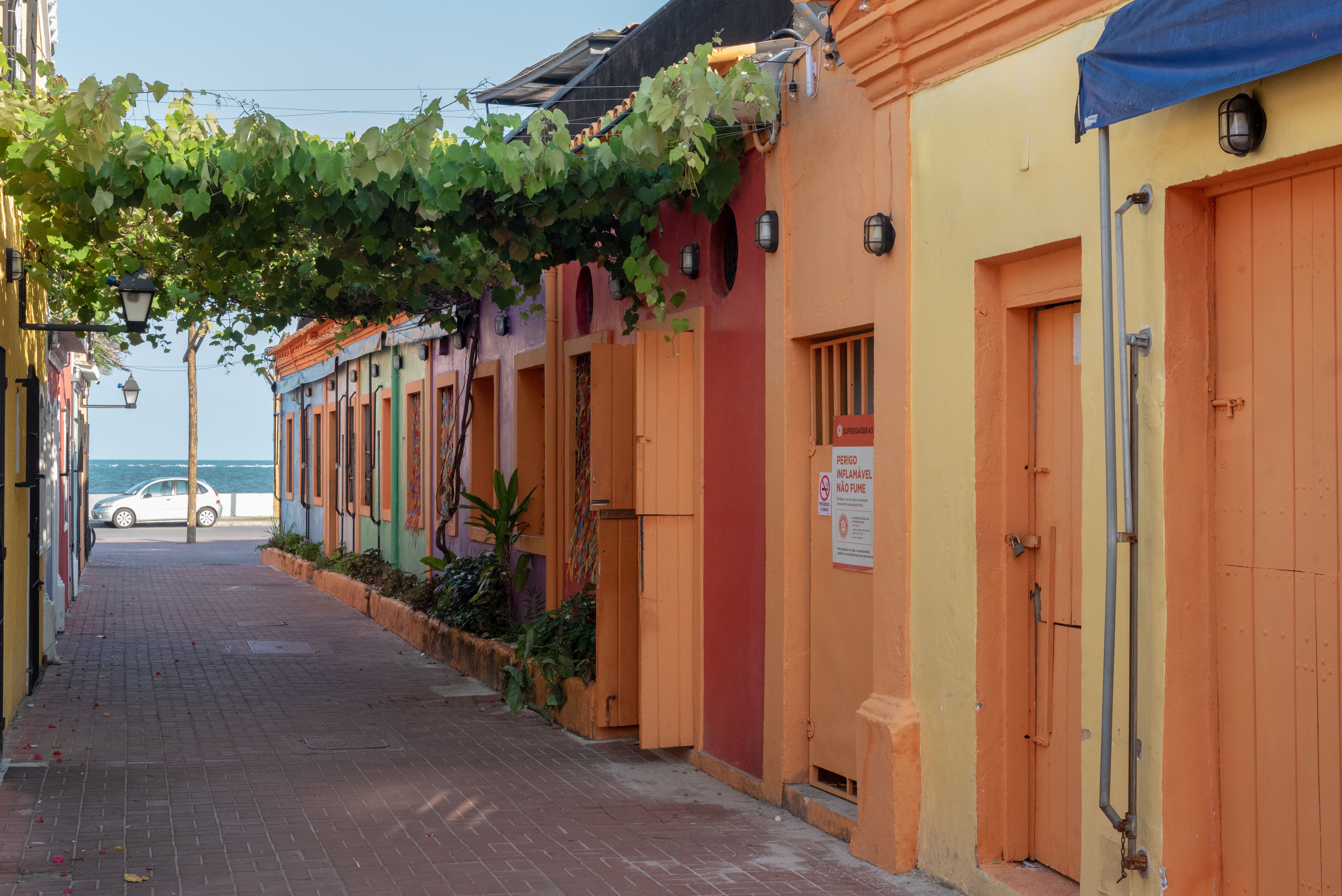 MND Local: How Los Cabos is positioning itself as a ‘second stop’ destination for World Cup travelers — Photo by Malcoln Oliv