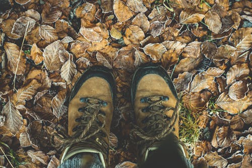 Free Low Section of Man Standing on Autumn Leaves Stock Photo