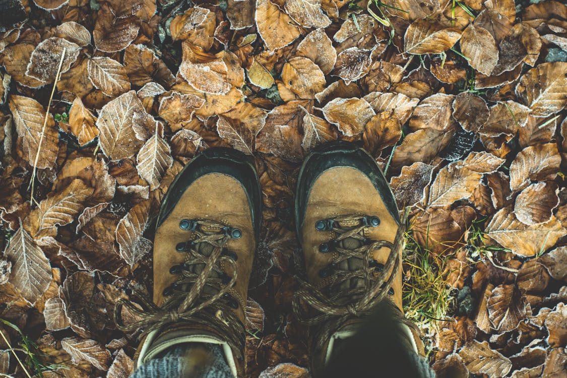 Безкоштовне стокове фото на тему «взуття, висушене листя, земля» стокове фото
