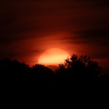 A breathtaking sunset with vivid orange hues over dark silhouetted trees.