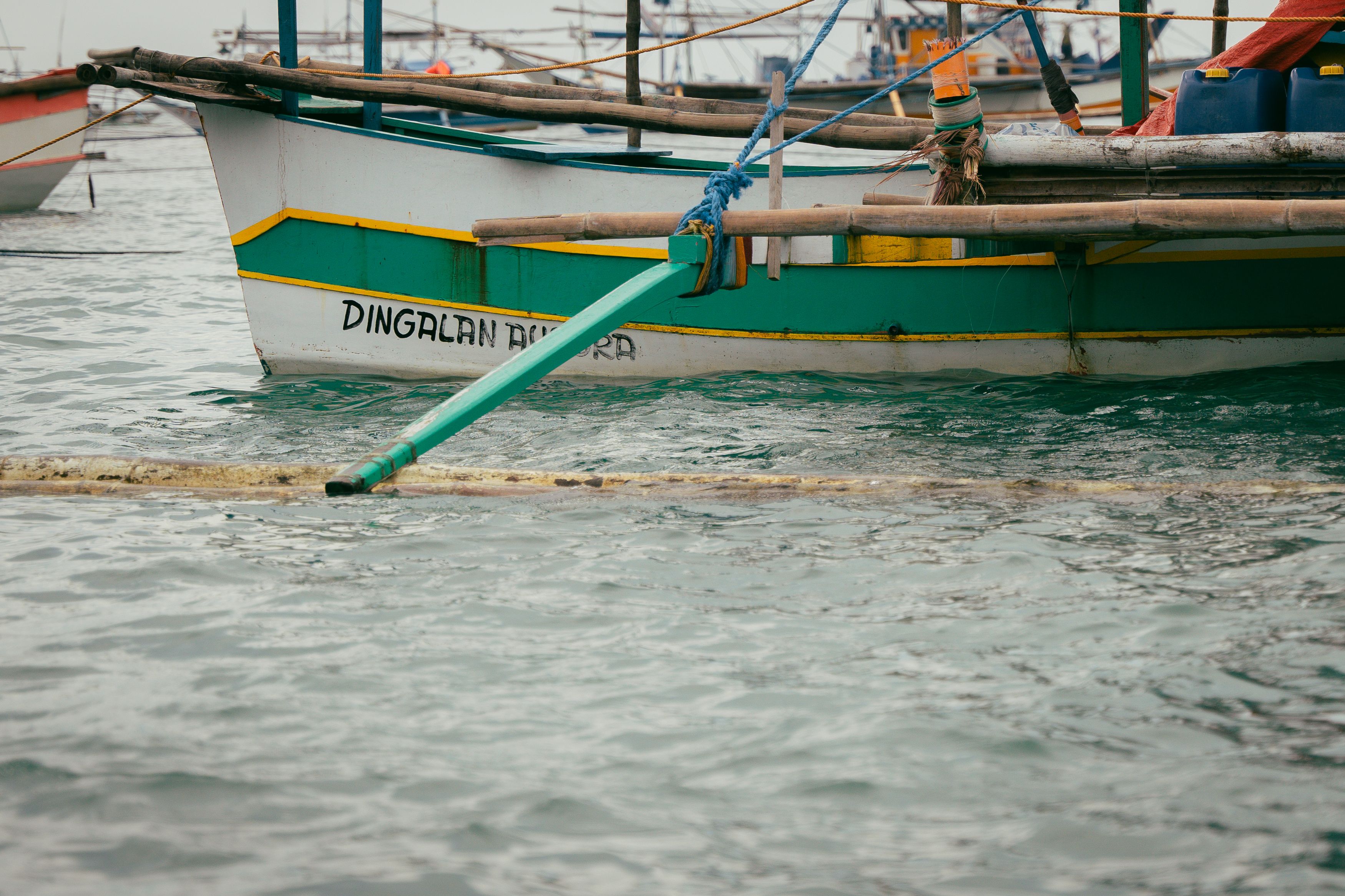 Antique Organizers Filed Their Own FOI After the PRA Greenlit a Coast the Province Says It Never Signed Off On post image