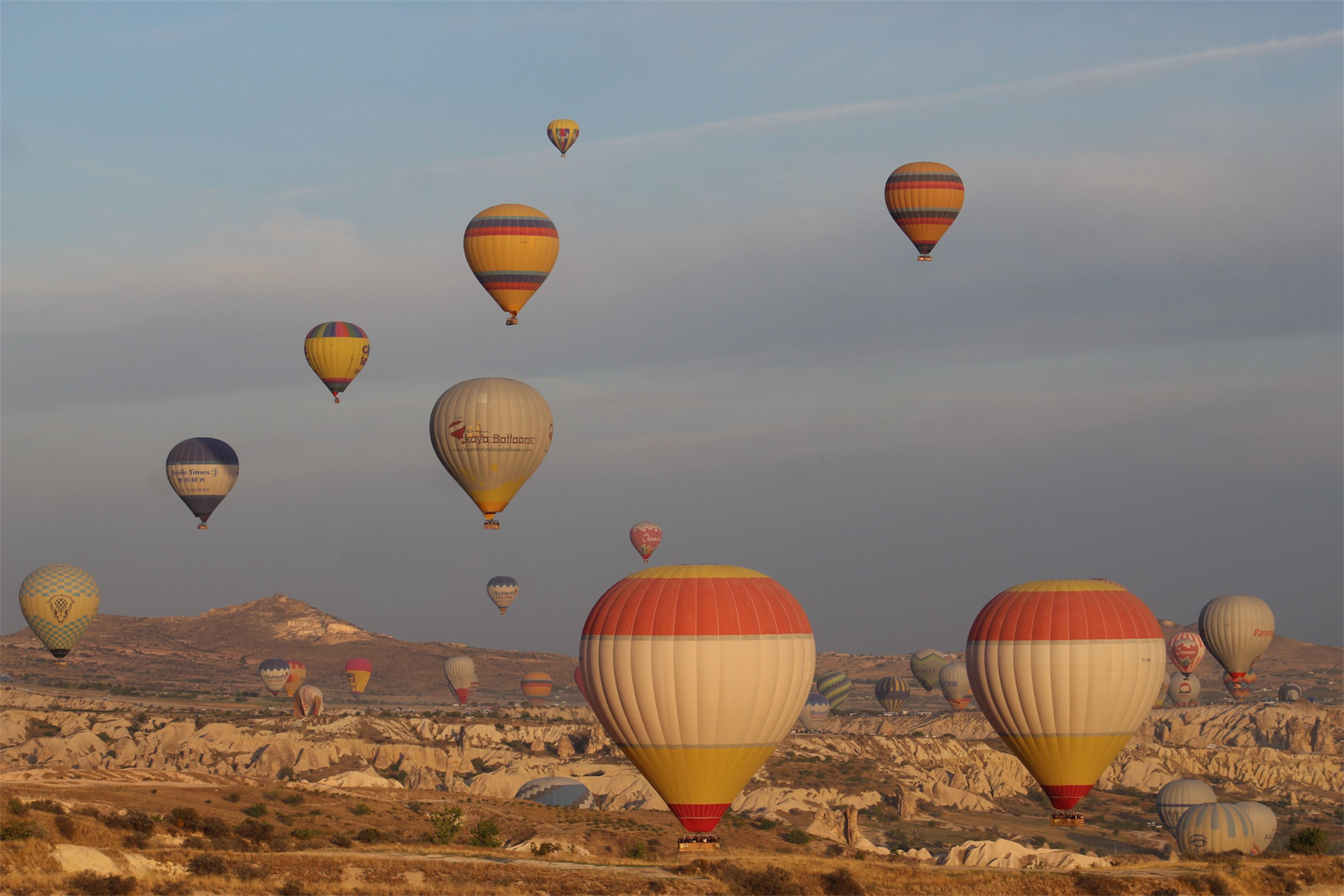 Hot Air Balloons Over Cappadocia Landscape · Free Stock Photo