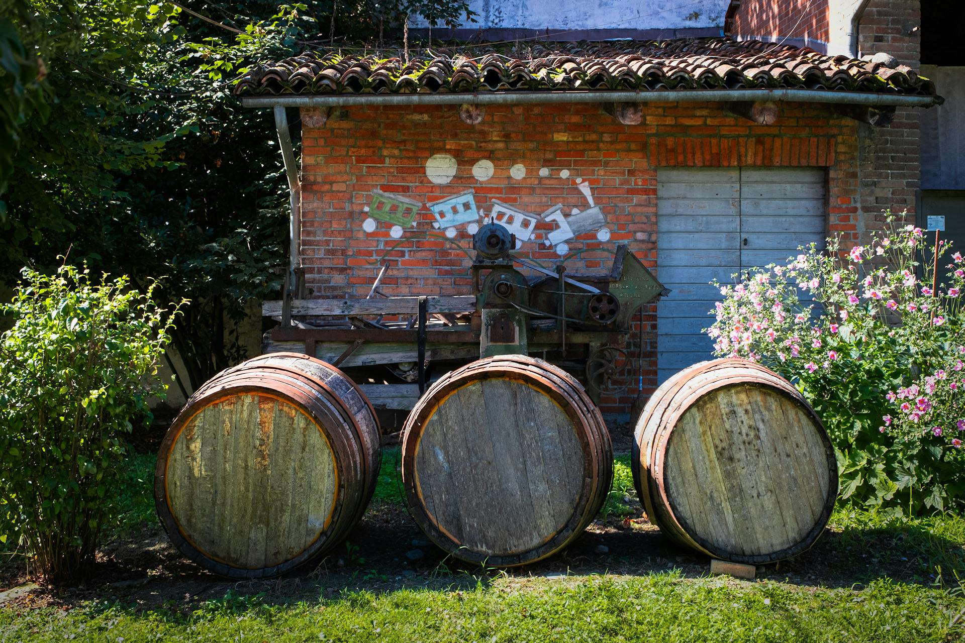 Three wooden barrels in a garden outside a brick shed with train mural.