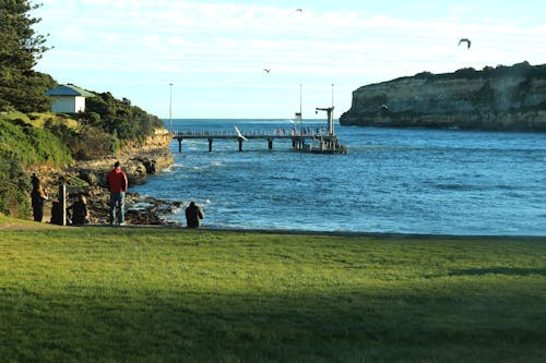 Free Grassland Across Body of Water Stock Photo