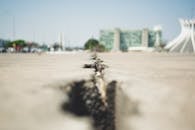 Macro Photography Of A Pavement Crack